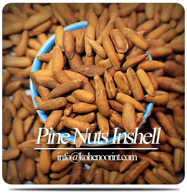Pine Nuts Inshell