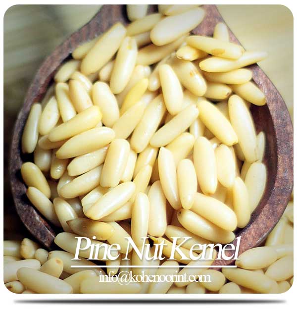 Pine Nuts Kernels